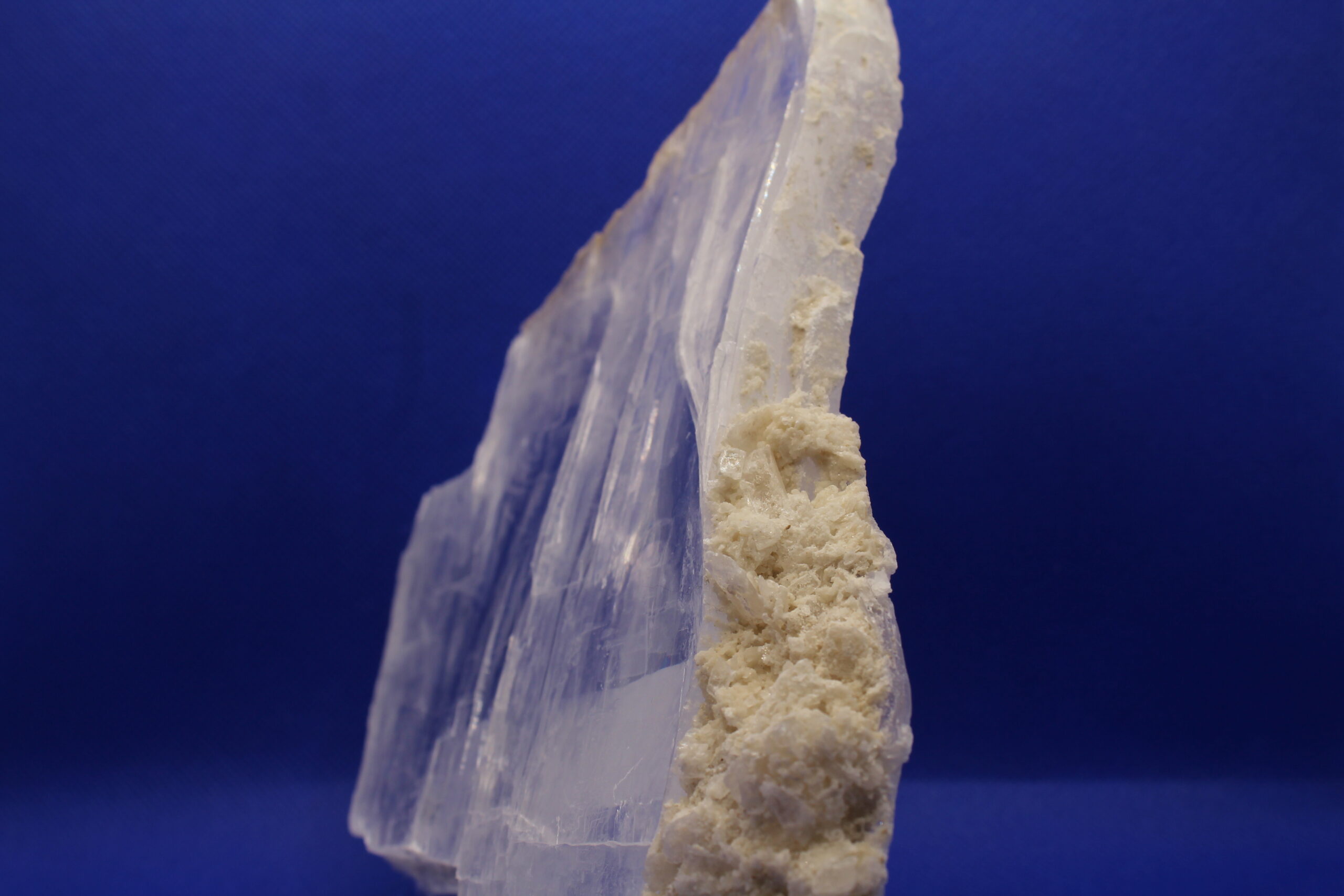 Selenite with Coral Edge Altar Piece (7.25 x 0.75 x 7.75)