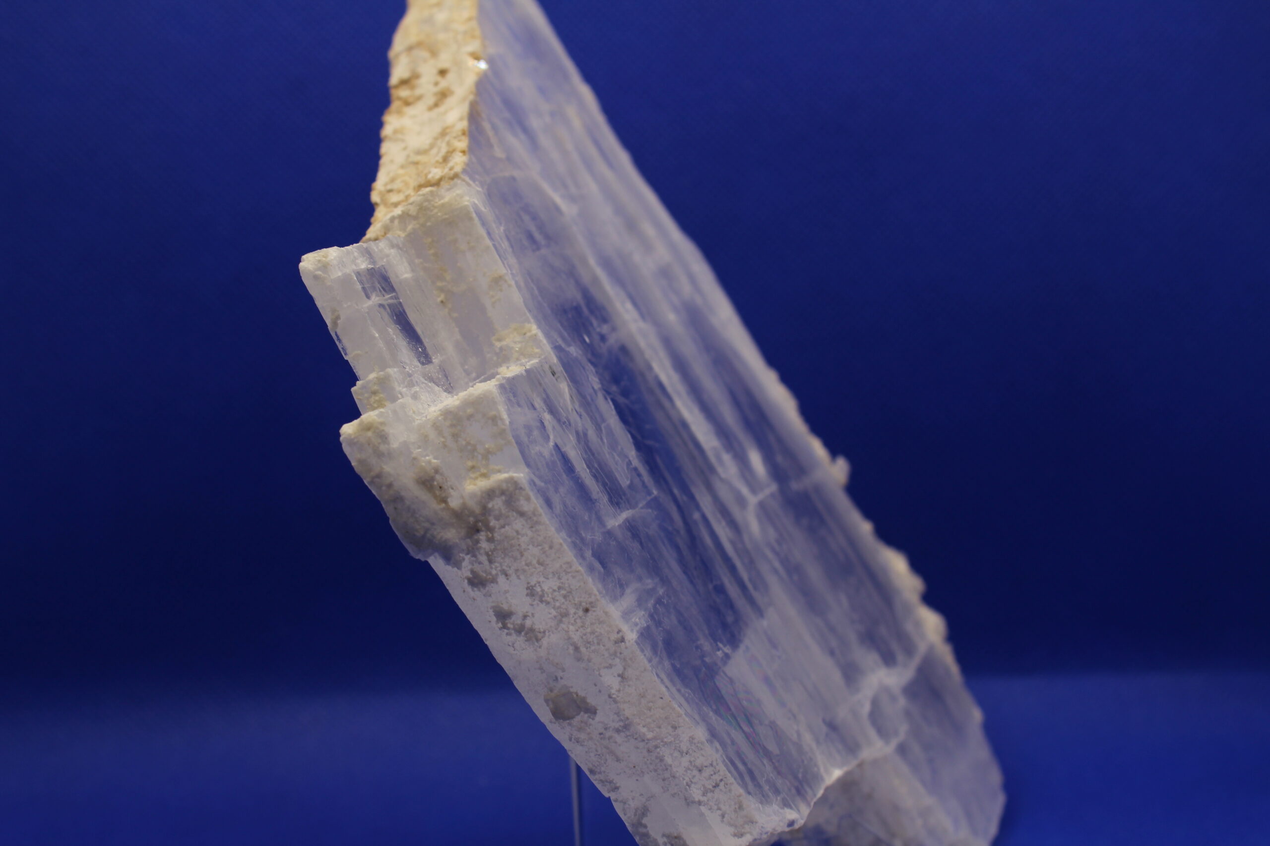 Selenite with Coral Edge Altar Piece (7.25 x 0.75 x 7.75)