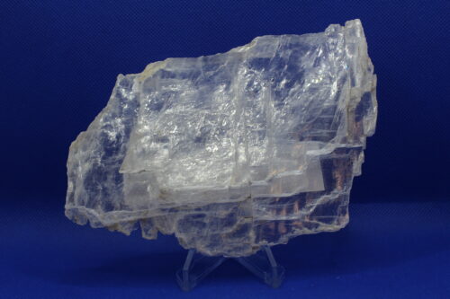 Selenite with Coral Altar Piece  (6 x 0.75 x 4)
