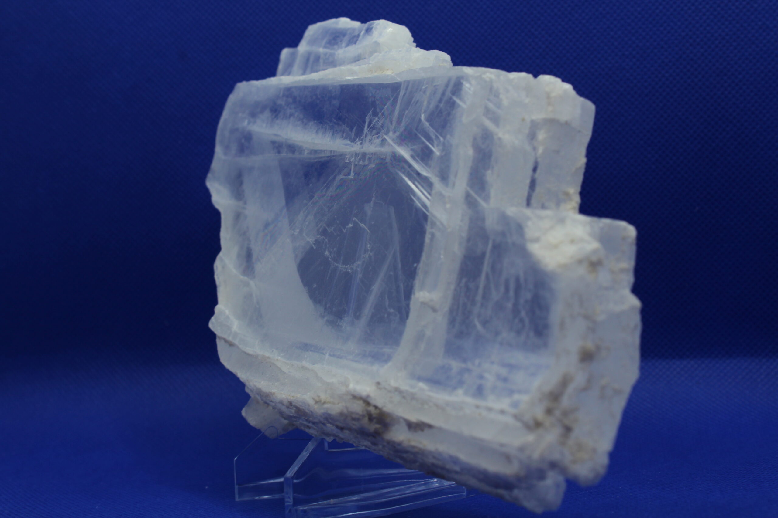 Selenite with Coral Altar Piece (6 x 0.25 x 5.25)