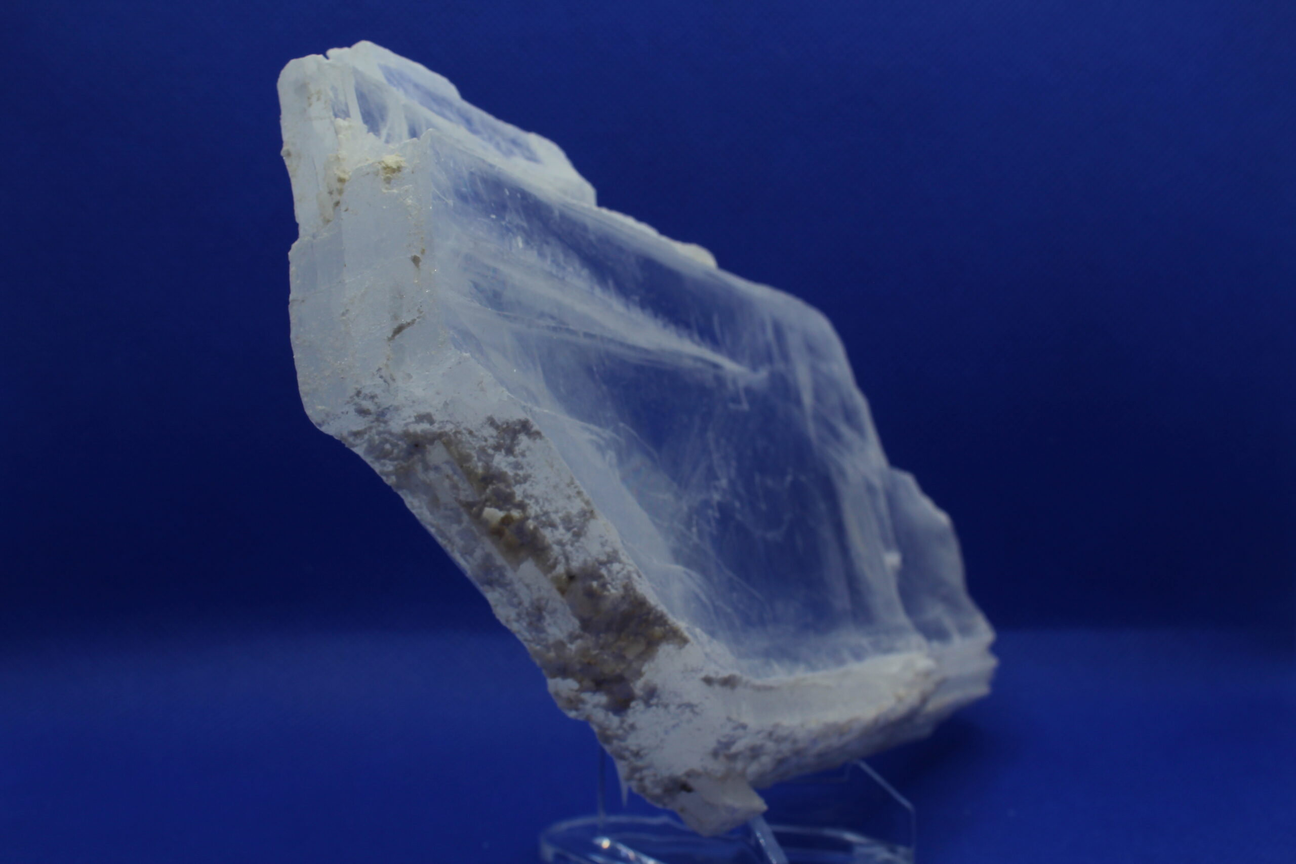 Selenite with Coral Altar Piece (6 x 0.25 x 5.25)