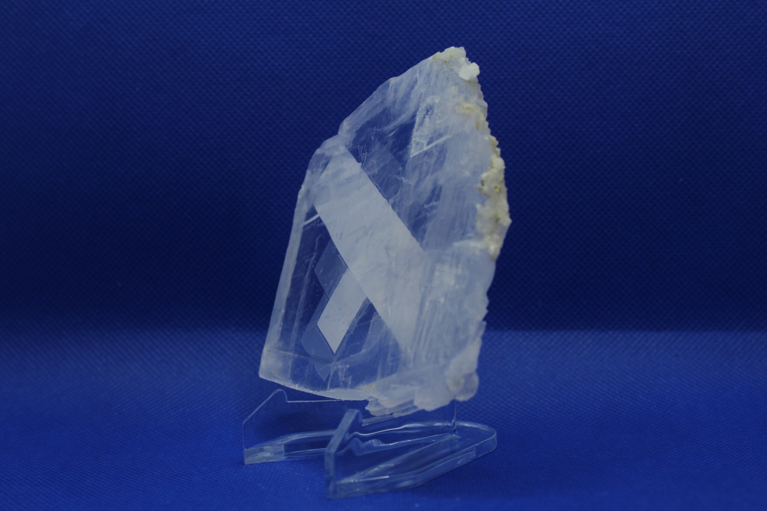 Selenite with Coral Altar Piece